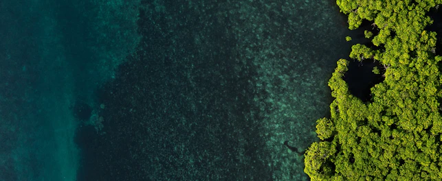 Widok z lotu ptaka na duży zbiornik wodny z widocznymi po prawej stronie zielonymi drzewami na brzegu.